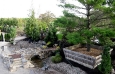 Show Garden 19